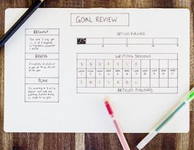 project goal